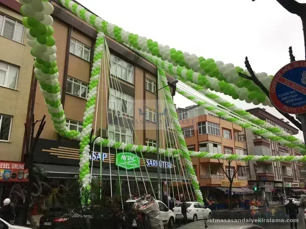 Açılış Organizasyonu